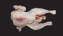 품질이 떨어지는 닭고기1 - 앞 가슴뼈 부근에 붉게 보이는 현상