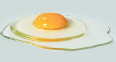 품질이 좋은 계란 - 흰자가 퍼지지 않고 모양이 유지됨