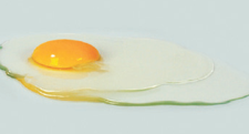 품질이 떨어지는 계란 - 흰자 모양이 유지 되지 않고 퍼짐