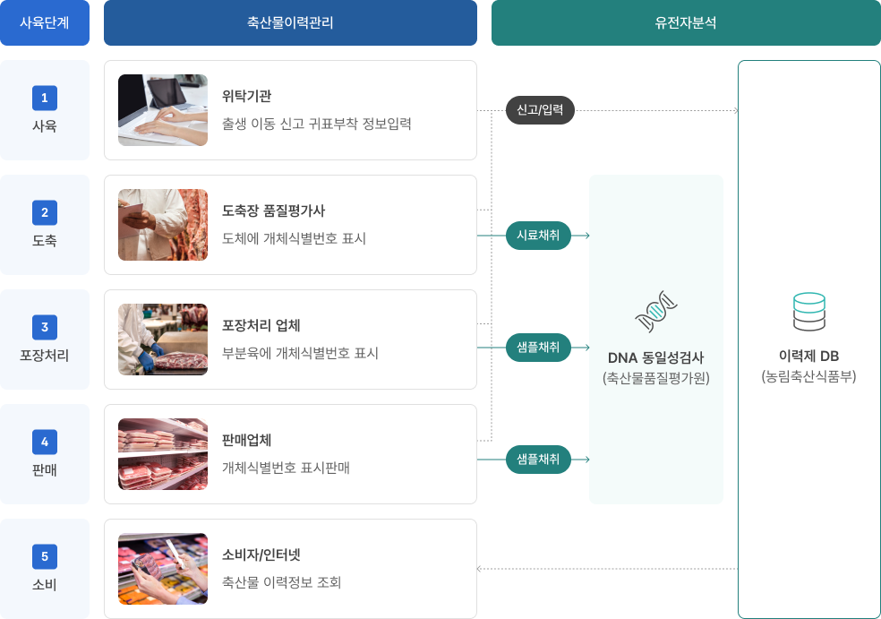 유전자 검사단계 프로세스입니다. 자세한 내용은 아래를 참조해주세요.